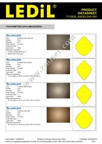 F13838_ANGELINA-XW Datasheet Page 13