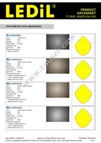 F13838_ANGELINA-XW Datasheet Page 15