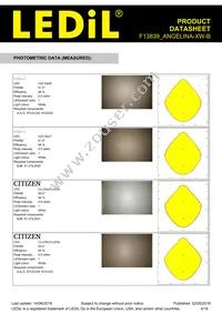 F13839_ANGELINA-XW-B Datasheet Page 4