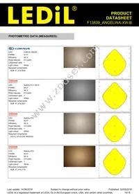 F13839_ANGELINA-XW-B Datasheet Page 10