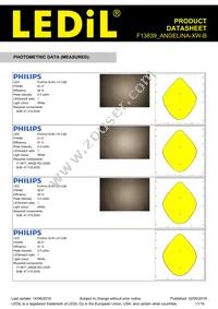 F13839_ANGELINA-XW-B Datasheet Page 11