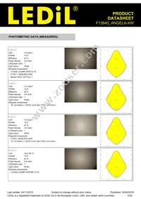 F13840_ANGELA-XW Datasheet Page 3