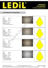 F13840_ANGELA-XW Datasheet Page 4