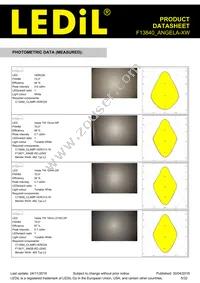 F13840_ANGELA-XW Datasheet Page 5