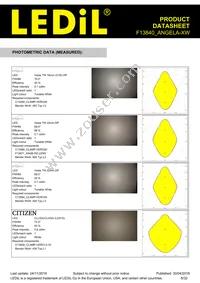 F13840_ANGELA-XW Datasheet Page 6