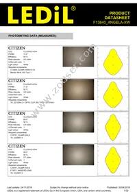 F13840_ANGELA-XW Datasheet Page 7