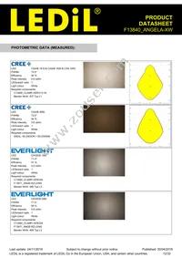 F13840_ANGELA-XW Datasheet Page 12