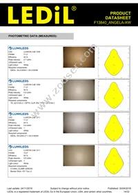 F13840_ANGELA-XW Datasheet Page 14