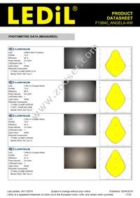 F13840_ANGELA-XW Datasheet Page 17