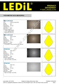 F13840_ANGELA-XW Datasheet Page 18