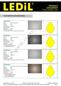 F13840_ANGELA-XW Datasheet Page 20