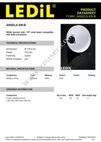 F13841_ANGELA-XW-B Datasheet Cover