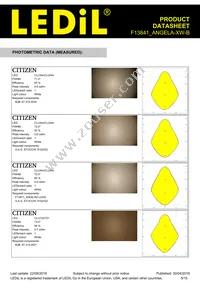 F13841_ANGELA-XW-B Datasheet Page 5