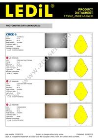 F13841_ANGELA-XW-B Datasheet Page 7