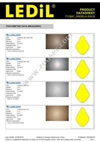 F13841_ANGELA-XW-B Datasheet Page 8