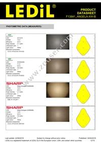 F13841_ANGELA-XW-B Datasheet Page 12