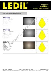 F13841_ANGELA-XW-B Datasheet Page 13