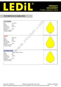 F13841_ANGELA-XW-B Datasheet Page 14