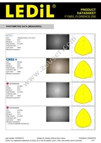 F13853_FLORENCE-Z90 Datasheet Page 3