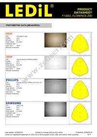 F13853_FLORENCE-Z90 Datasheet Page 8