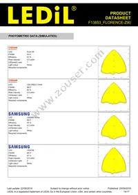 F13853_FLORENCE-Z90 Datasheet Page 14