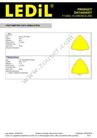 F13853_FLORENCE-Z90 Datasheet Page 16