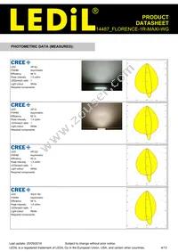 F14487_FLORENCE-1R-MAXI-WG Datasheet Page 4