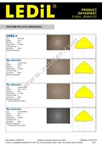 F14531_JENNY-CY Datasheet Page 8