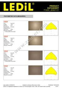 F14531_JENNY-CY Datasheet Page 10