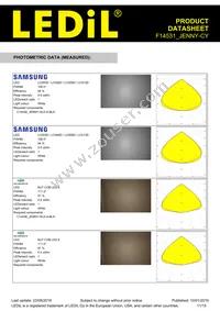 F14531_JENNY-CY Datasheet Page 11