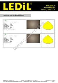 F14531_JENNY-CY Datasheet Page 12