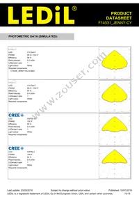 F14531_JENNY-CY Datasheet Page 13