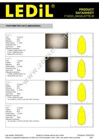 F14533_ANGELETTE-M Datasheet Page 3