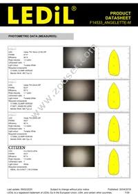 F14533_ANGELETTE-M Datasheet Page 7