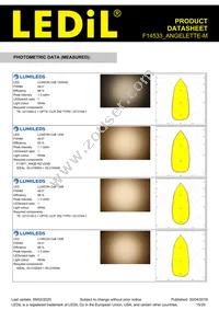 F14533_ANGELETTE-M Datasheet Page 15