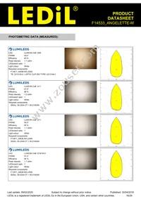 F14533_ANGELETTE-M Datasheet Page 16