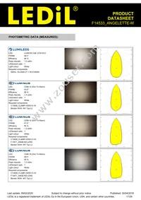 F14533_ANGELETTE-M Datasheet Page 17