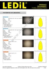 F14533_ANGELETTE-M Datasheet Page 21