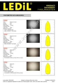 F14533_ANGELETTE-M Datasheet Page 23