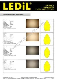 F14534_ANGELETTE-WW Datasheet Page 4