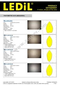 F14534_ANGELETTE-WW Datasheet Page 17