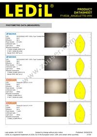 F14534_ANGELETTE-WW Datasheet Page 21