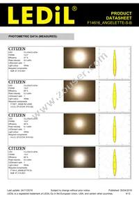 F14616_ANGELETTE-S-B Datasheet Page 4