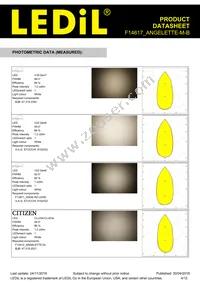 F14617_ANGELETTE-M-B Datasheet Page 4