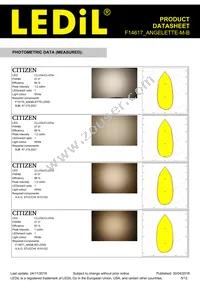 F14617_ANGELETTE-M-B Datasheet Page 5