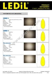 F14617_ANGELETTE-M-B Datasheet Page 6