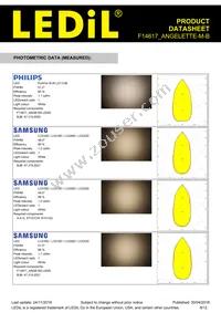 F14617_ANGELETTE-M-B Datasheet Page 8