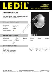 F14619_ANGELETTE-S-PLAIN Datasheet Cover