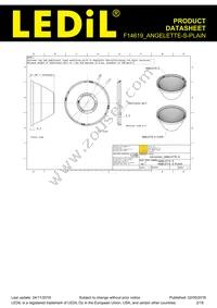 F14619_ANGELETTE-S-PLAIN Datasheet Page 2