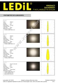 F14619_ANGELETTE-S-PLAIN Datasheet Page 4